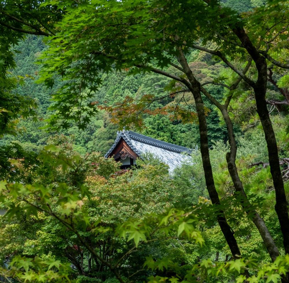日本