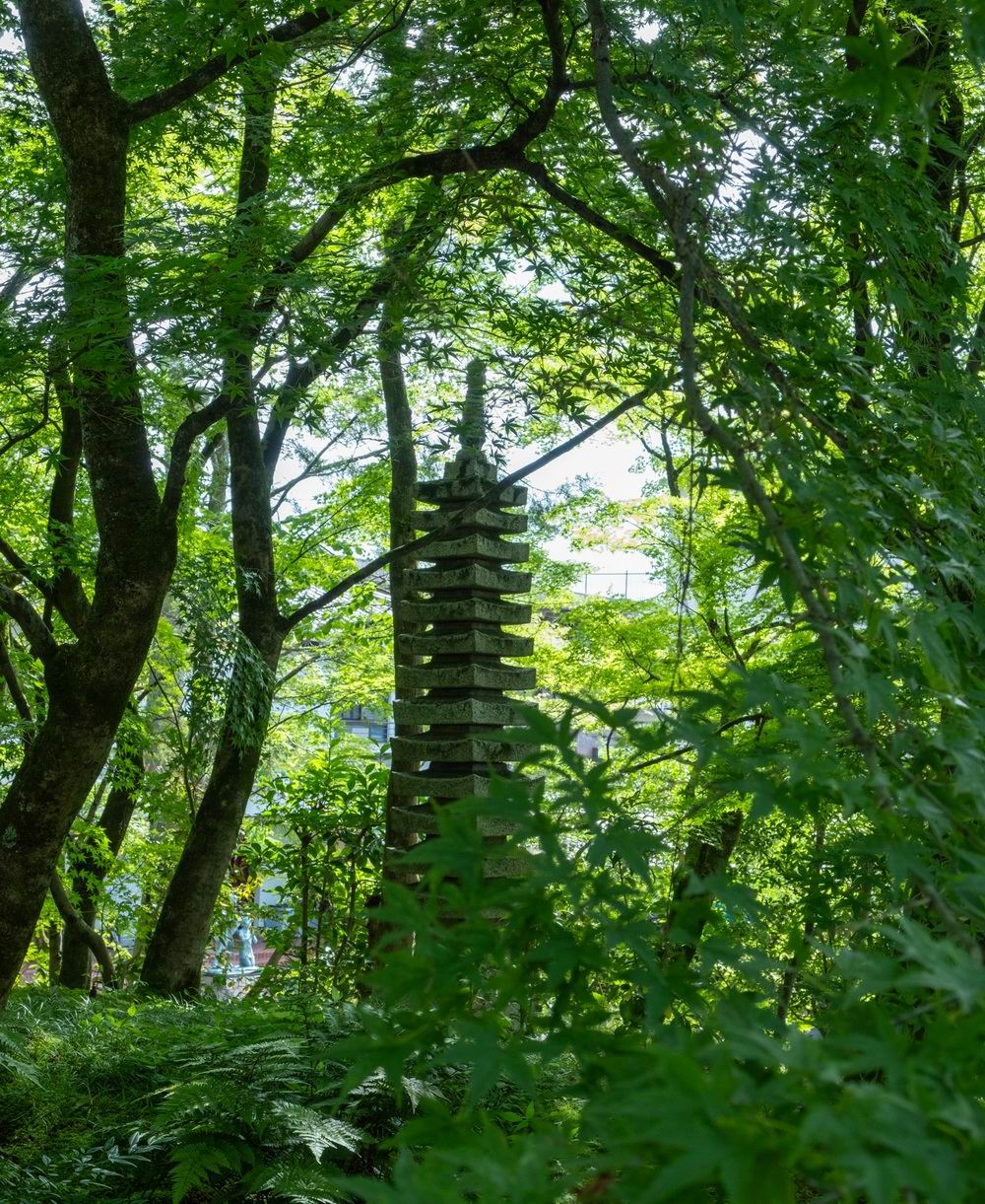 日本