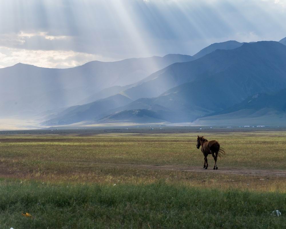 Xinjiang